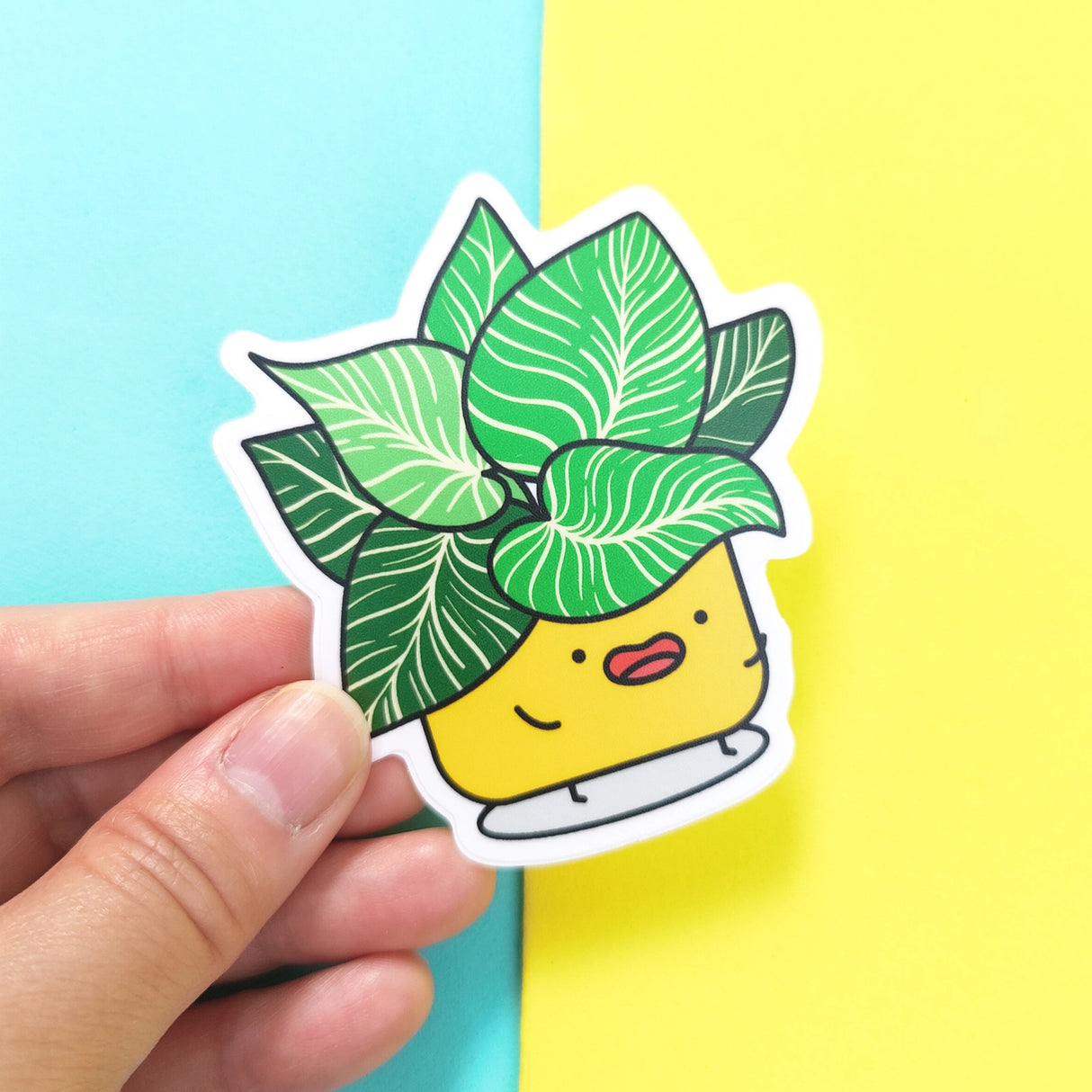 Philodendron Birkin Plant Vinyl Sticker