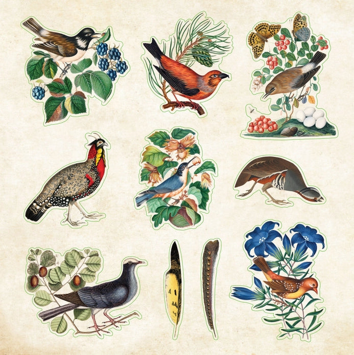 Zoological Ephemera Sticker Book (680+ stickers)