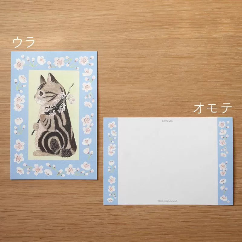 4legs Postcard - Cat in Picture Book #16 American Shorthair