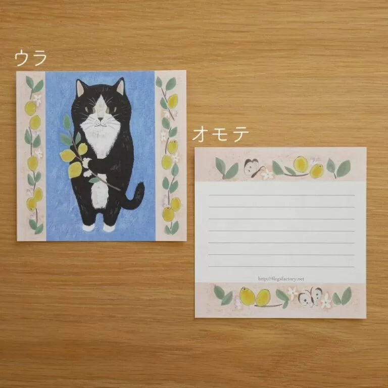 Featuring charming watercolor of cats with flowers and plants from Japanese illustrator 4legs
It is a convenient size that is not too big or too small. Please use it as a communication tool for small thank you and announcements. There are no lines on the front side, so you can use it freely as a shop card or business card with stamps and stickers as well as memos and letters. It is a great gift for people who like paper. The gorgeous and gentle designs will