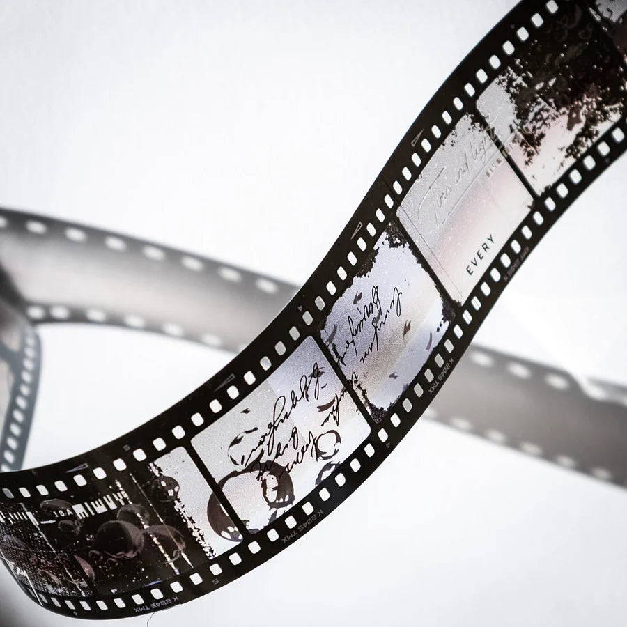 These vintage negative film strip PET tapes are a great new addition to your craft supplies! They bring a touch of natural elements to the film strips to create a unique look.
Material: PET Tape
Includes 1 PET Tape