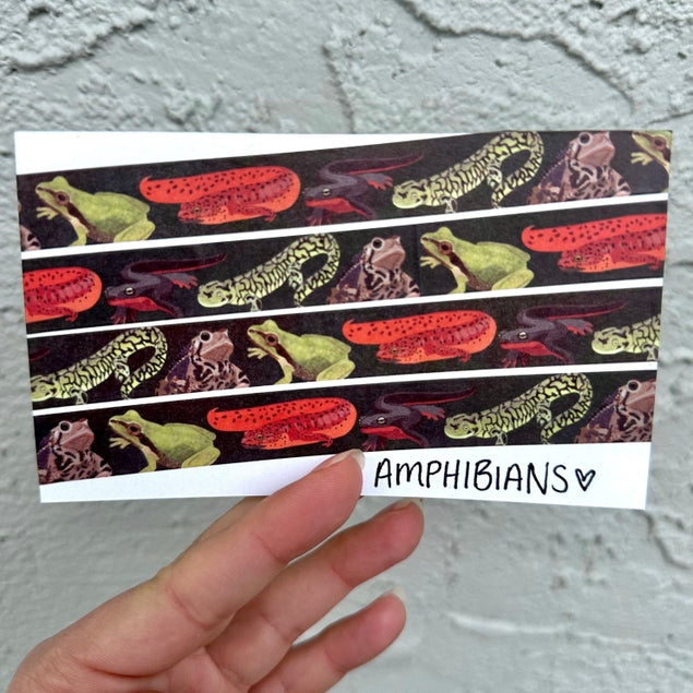 Cinta washi de anfibios
