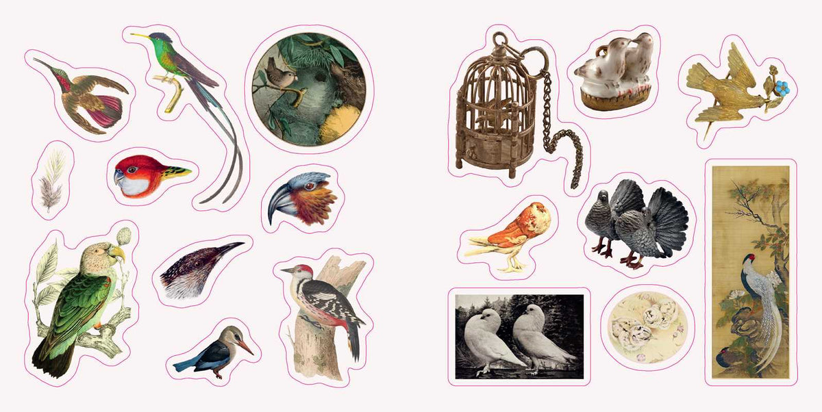 Birds: A Smithsonian Sticker Book By the Smithsonian Institution