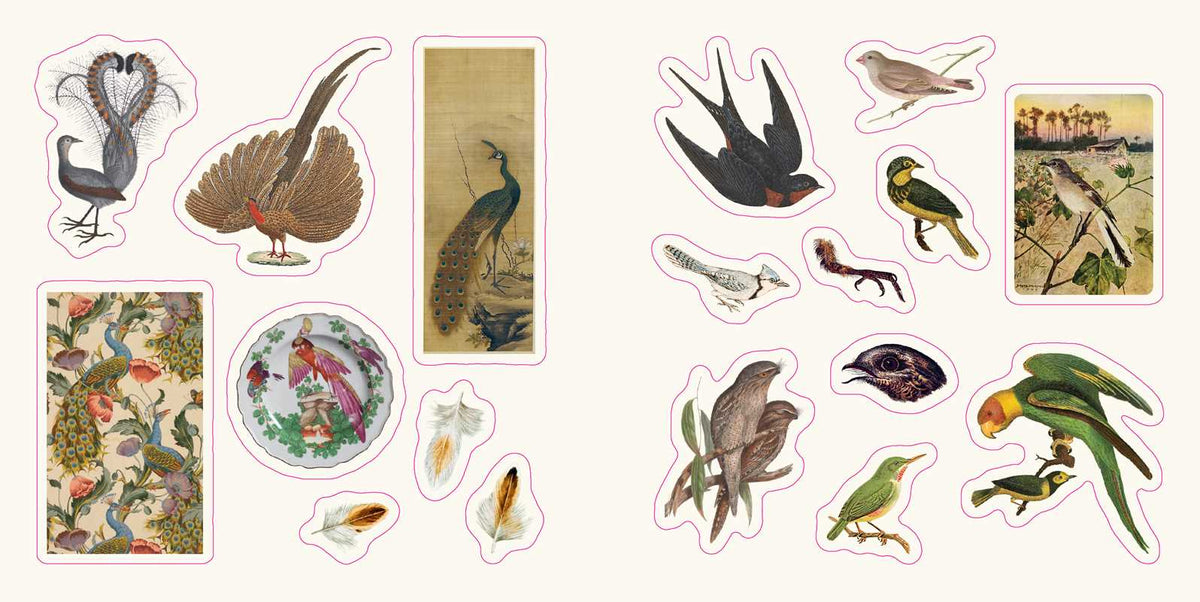 Birds: A Smithsonian Sticker Book By the Smithsonian Institution