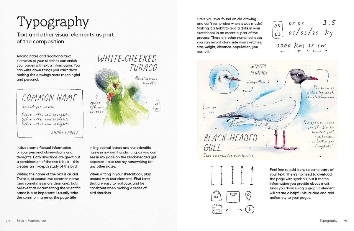 Birds in Watercolour: A Beginner's Guide to Drawing and Painting Birds
Discover the joy of drawing and painting birds with this inspiring, accessible guide for bird lovers, budding artists and nature journalers.