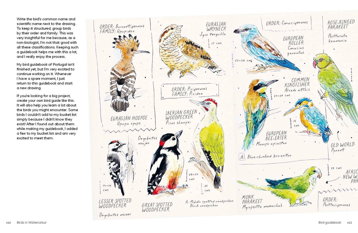 Birds in Watercolour: A Beginner's Guide to Drawing and Painting Birds
Discover the joy of drawing and painting birds with this inspiring, accessible guide for bird lovers, budding artists and nature journalers.