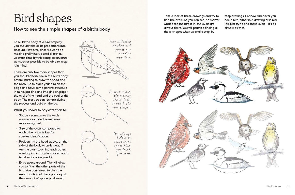 Birds in Watercolour: A Beginner's Guide to Drawing and Painting Birds
Discover the joy of drawing and painting birds with this inspiring, accessible guide for bird lovers, budding artists and nature journalers.