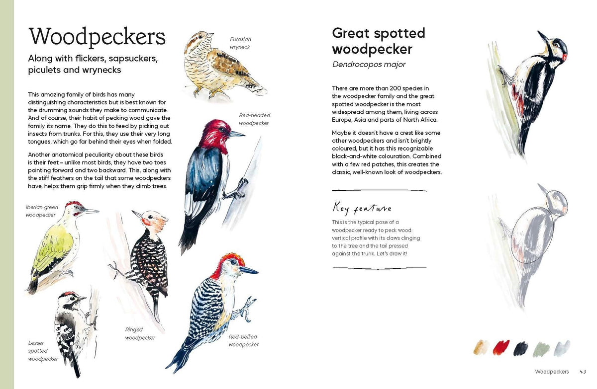 Birds in Watercolour: A Beginner's Guide to Drawing and Painting Birds
Discover the joy of drawing and painting birds with this inspiring, accessible guide for bird lovers, budding artists and nature journalers.
