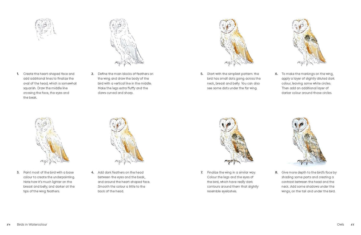 Birds in Watercolour: A Beginner's Guide to Drawing and Painting Birds
Discover the joy of drawing and painting birds with this inspiring, accessible guide for bird lovers, budding artists and nature journalers.