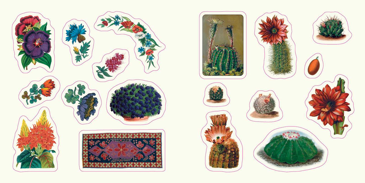 Botanicals: A Smithsonian Sticker Book By the Smithsonian Institution
