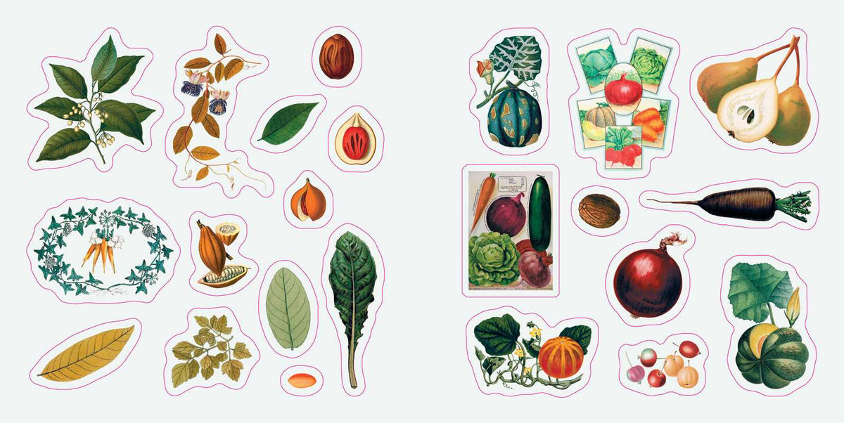 Botanicals: A Smithsonian Sticker Book By the Smithsonian Institution