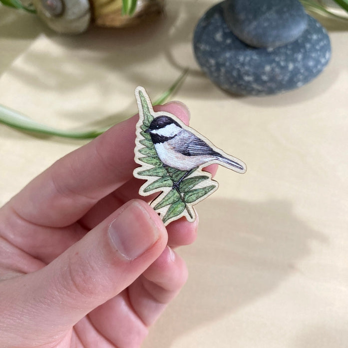 Pin de madera de carbonero de Carolina sobre helecho