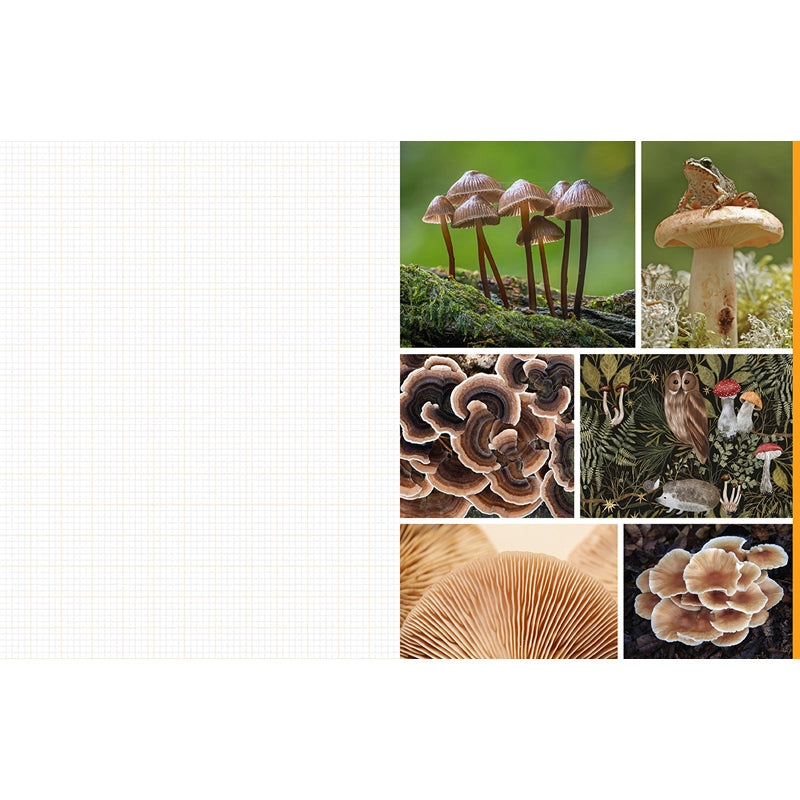 Featuring more than 400 photos and illustrations, Cut & Collage Mushrooms and Fungi invites you to cut out and piece together your own works of art inspired by the treasures found on the forest floor.
Let your creativity and imagination roam free as you create collages, scrapbooks, vision boards, and more by mixing and matching vibrant colors and textures. Stunning photographs and illustrations on high-quality glossy paper showcase the beauty and magic of the fungus kingdom, including macro photography