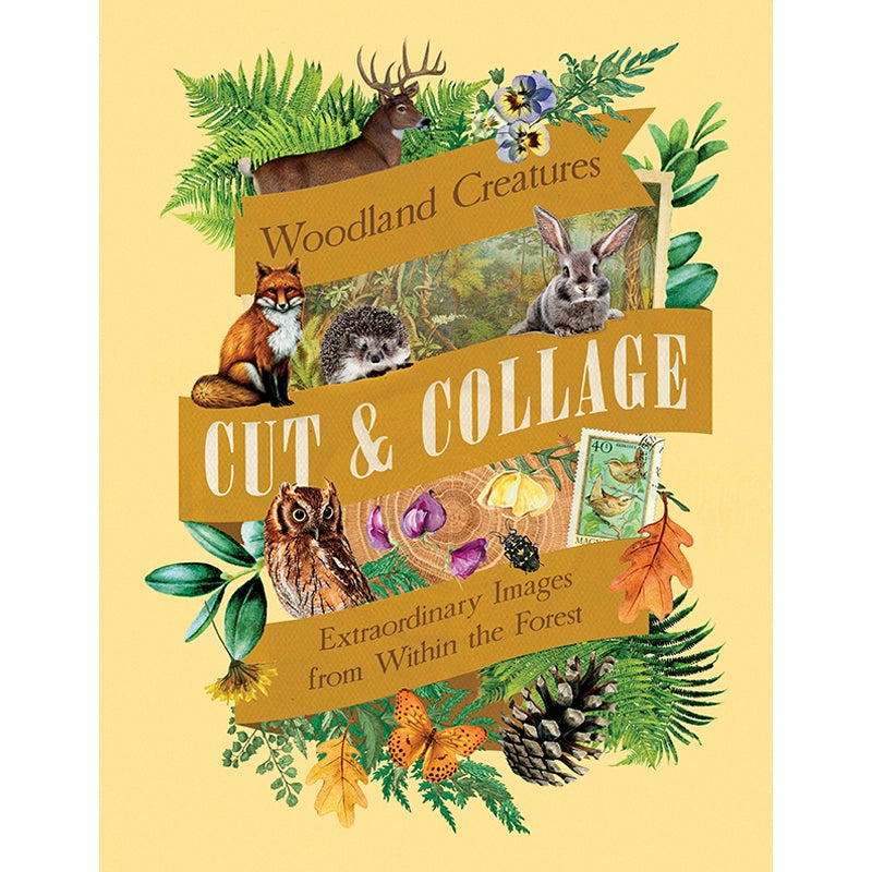Celebrate the natural beauty of the forest and all the amazing creatures that call it home with vibrant, full-color images ready for you to add to collages, vision boards, scrapbooks, greeting cards, and more. From photographs of wide-eyed owls and bushy-tailed squirrels to botanical illustrations and inspirational quotes, Cut & Collage Woodland Creatures captures the biodiversity and magic of the forest, adding endless possibilities to all of your crafting projects. The only limit is your imagination.