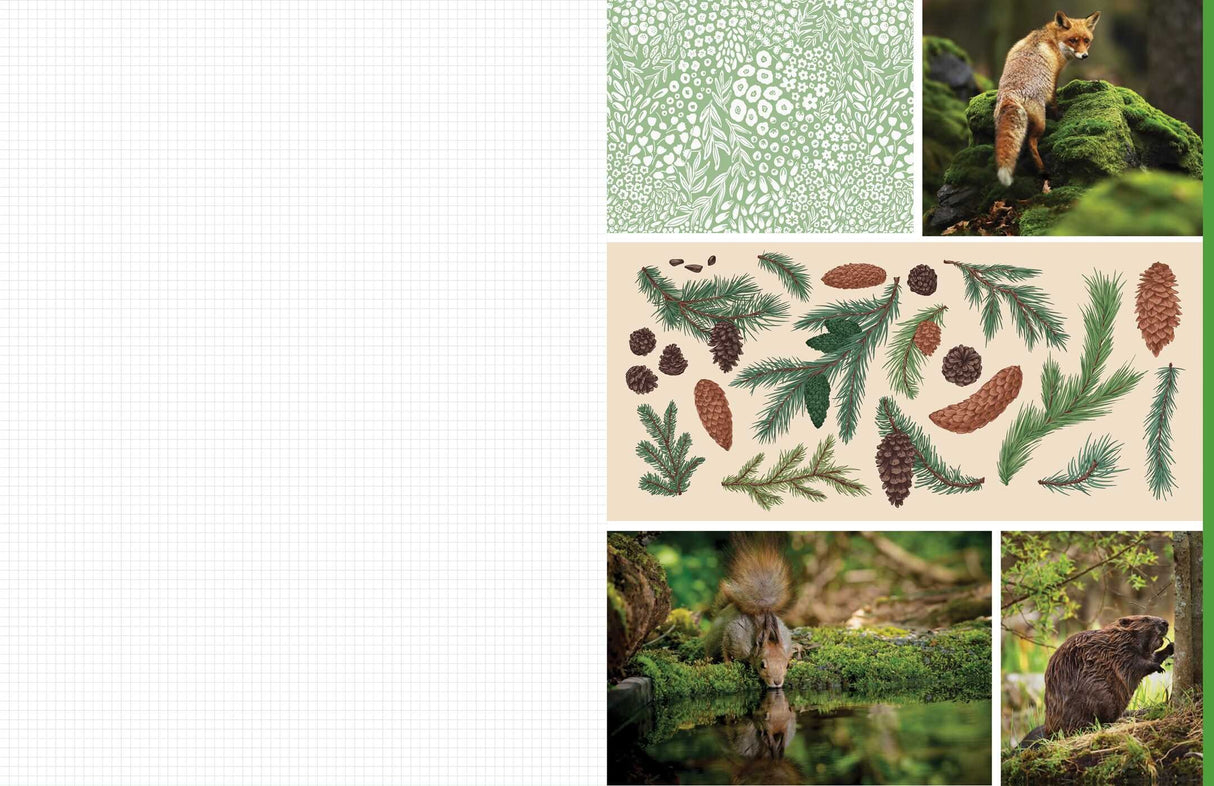 Celebrate the natural beauty of the forest and all the amazing creatures that call it home with vibrant, full-color images ready for you to add to collages, vision boards, scrapbooks, greeting cards, and more. From photographs of wide-eyed owls and bushy-tailed squirrels to botanical illustrations and inspirational quotes, Cut & Collage Woodland Creatures captures the biodiversity and magic of the forest, adding endless possibilities to all of your crafting projects. The only limit is your imagination.