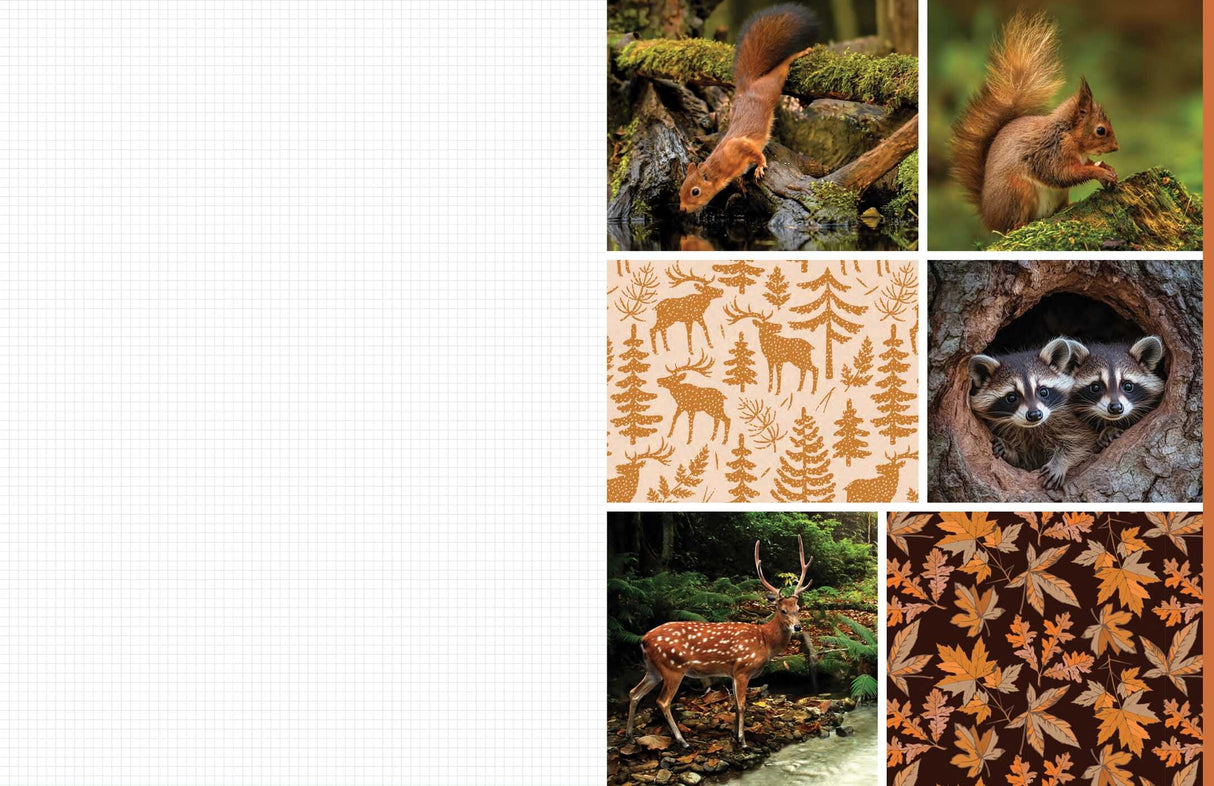 Celebrate the natural beauty of the forest and all the amazing creatures that call it home with vibrant, full-color images ready for you to add to collages, vision boards, scrapbooks, greeting cards, and more. From photographs of wide-eyed owls and bushy-tailed squirrels to botanical illustrations and inspirational quotes, Cut & Collage Woodland Creatures captures the biodiversity and magic of the forest, adding endless possibilities to all of your crafting projects. The only limit is your imagination.