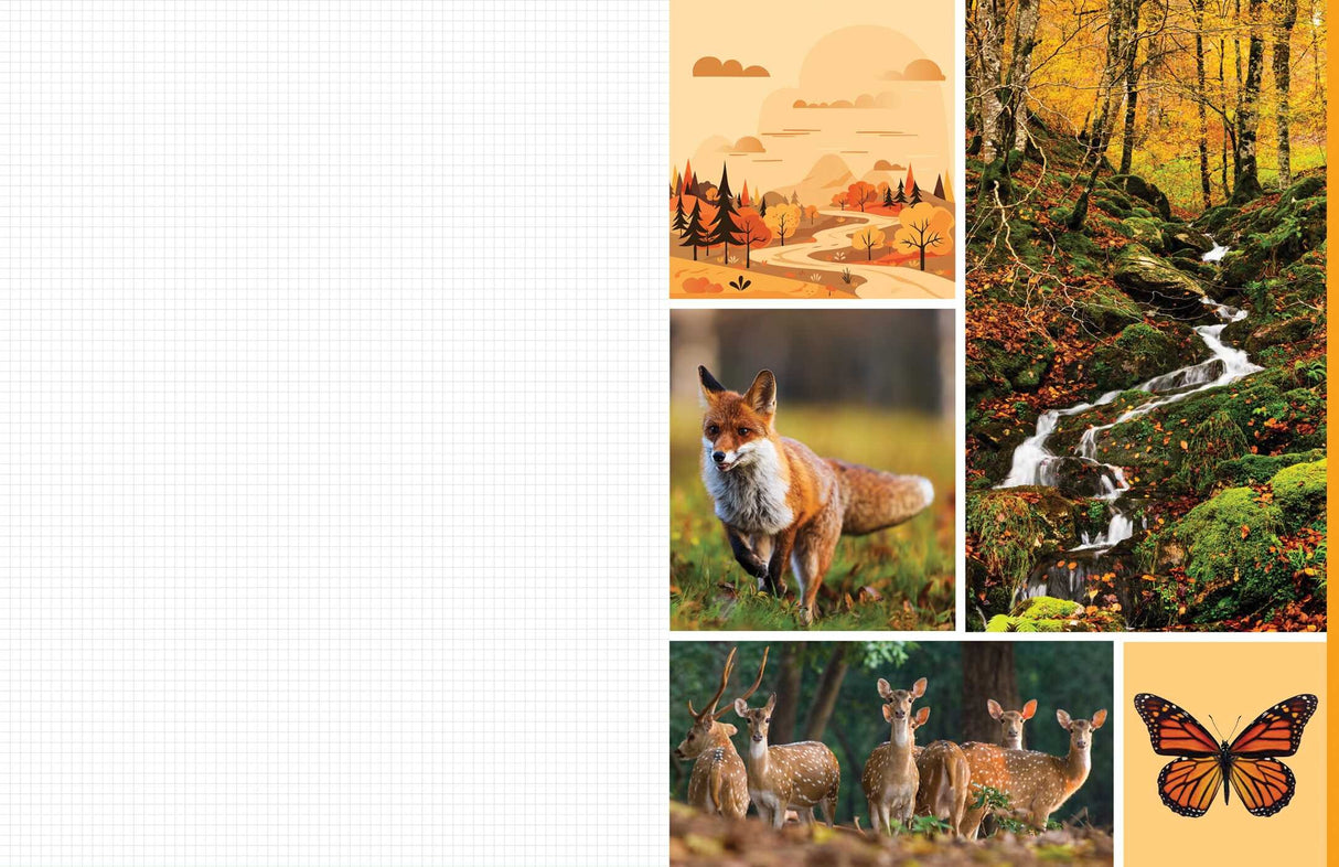 Celebrate the natural beauty of the forest and all the amazing creatures that call it home with vibrant, full-color images ready for you to add to collages, vision boards, scrapbooks, greeting cards, and more. From photographs of wide-eyed owls and bushy-tailed squirrels to botanical illustrations and inspirational quotes, Cut & Collage Woodland Creatures captures the biodiversity and magic of the forest, adding endless possibilities to all of your crafting projects. The only limit is your imagination.