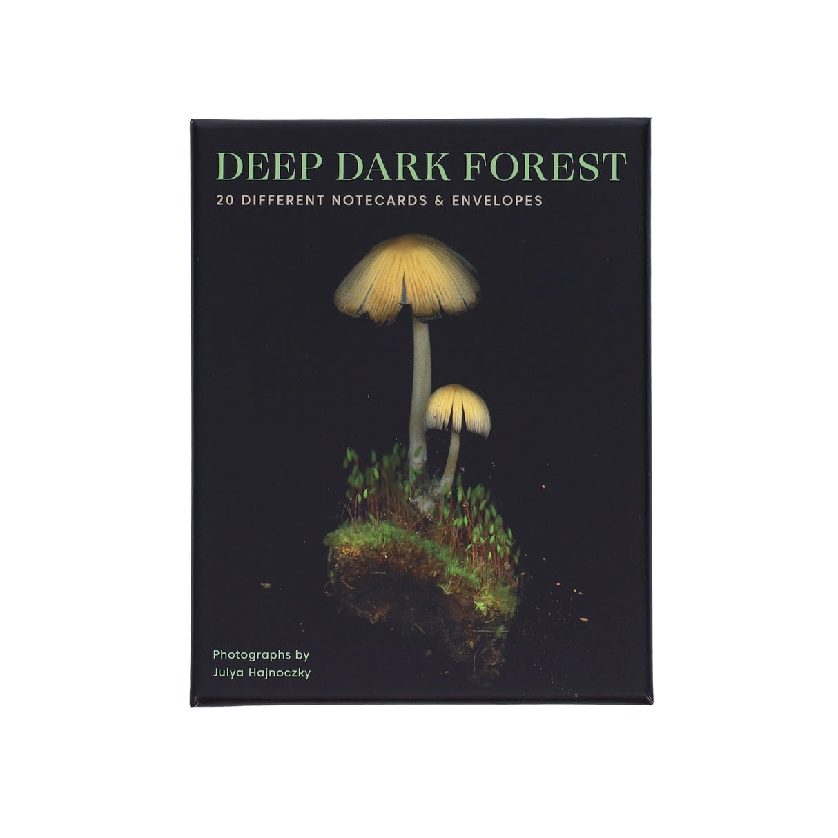These luminous notecards capture the beauty of the forest floor, from ferns to fungi.
Share the wonders of the woods with fellow nature lovers. Julya Hajnoczky's photographs celebrate the oft-overlooked world of mushrooms, mosses, ferns, and other foraged treasures. Carefully arranged against striking black backgrounds, these portraits of biodiversity lend a fresh and sophisticated touch to your handwritten messages.