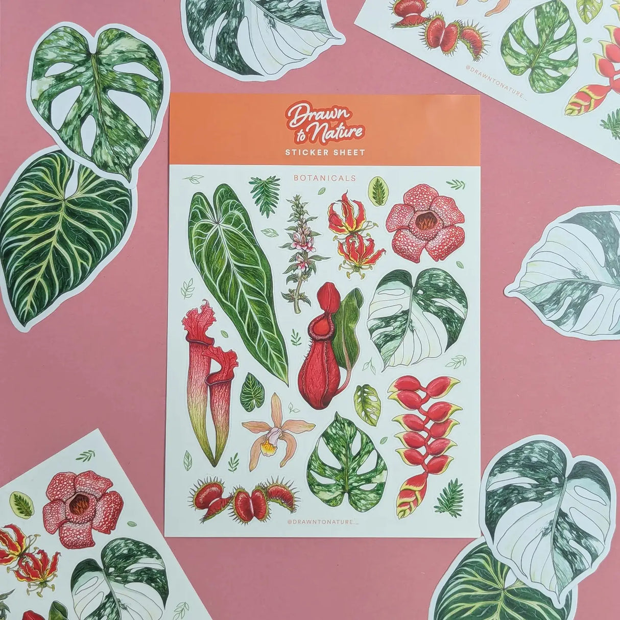 Drawn To Nature Botanicals Sticker Sheet