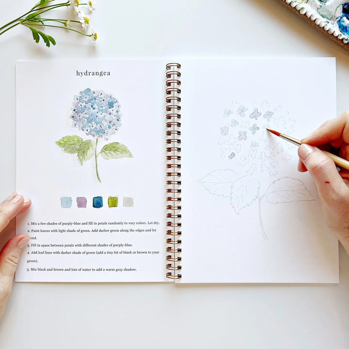 Emily Lex Studio - Flower Watercolor Workbook