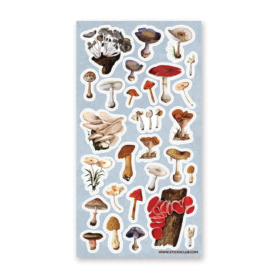 🍄🌿 Wander into a woodland where every fallen log, mossy hollow, and shaded forest floor hides a tiny treasure. From oyster clusters and scarlet caps to intricate morels and velvety violets, this vintage-inspired set celebrates mushrooms as a lovely gathering of curious specimens for anyone enchanted by the wild, mysterious world of the forest floor.
One sticker sheet is included.
Top Coating: None
Adhesive Layer: Paper
Backing Layer: Clear PET
Size: 6.69"x3.54"
Weight-0.03oz