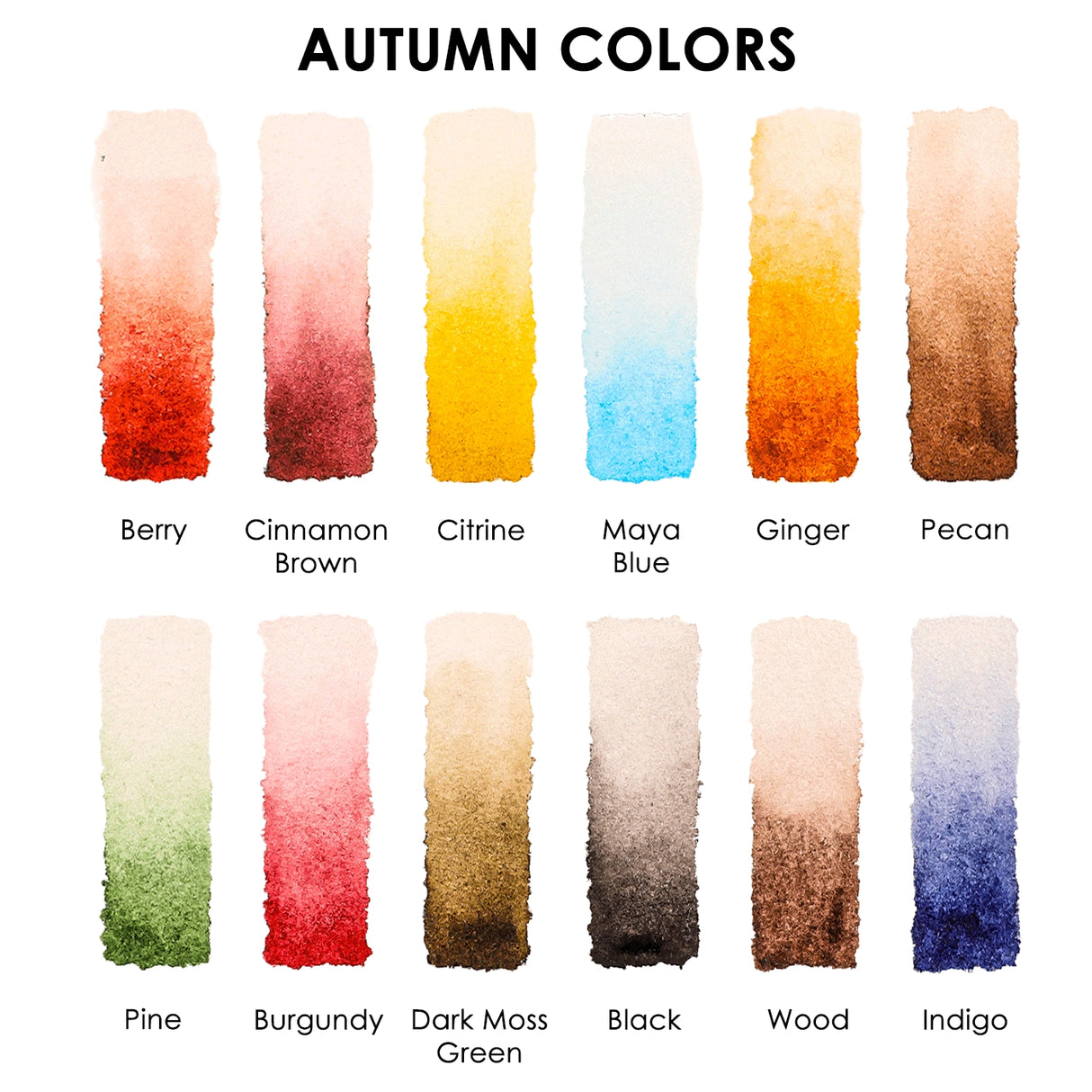 Introducing the "Autumn-Themed Watercolor Coloring Club Box," a charming set for all ages. It includes a 12-color watercolor pocket set inspired by fall and a 15-sheet coloring pad—perfect for capturing the season’s warmth.
Capture Autumn's Beauty - Celebrate autumn with 12 carefully selected shades inspired by the season. The included 15-sheet coloring pad gives you the ideal surface to explore rich tones and seasonal charm in every brushstroke.
Premium Paper & Coloring Guide - Scan the QR code for a fre