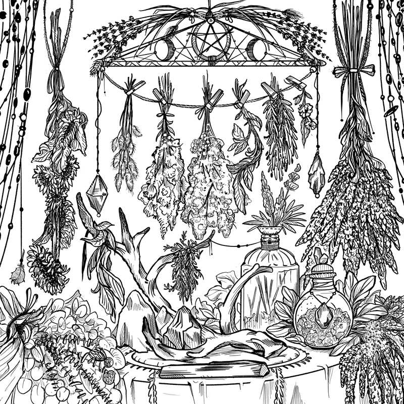 The magic of The Green Witch meets adult coloring with this collection of 35 witchcraft-inspired scenes showcasing the natural elements and mysticism of green witchcraft.
Nurture your creative energy and the green witch within with The Green Witch’s Coloring Book featuring 35 witchcraft-inspired scenes that nourish and nurture green witchcraft lovers. From the Green Witch series, this coloring book includes lush forest scenes to crystal spreads and herb bundles.