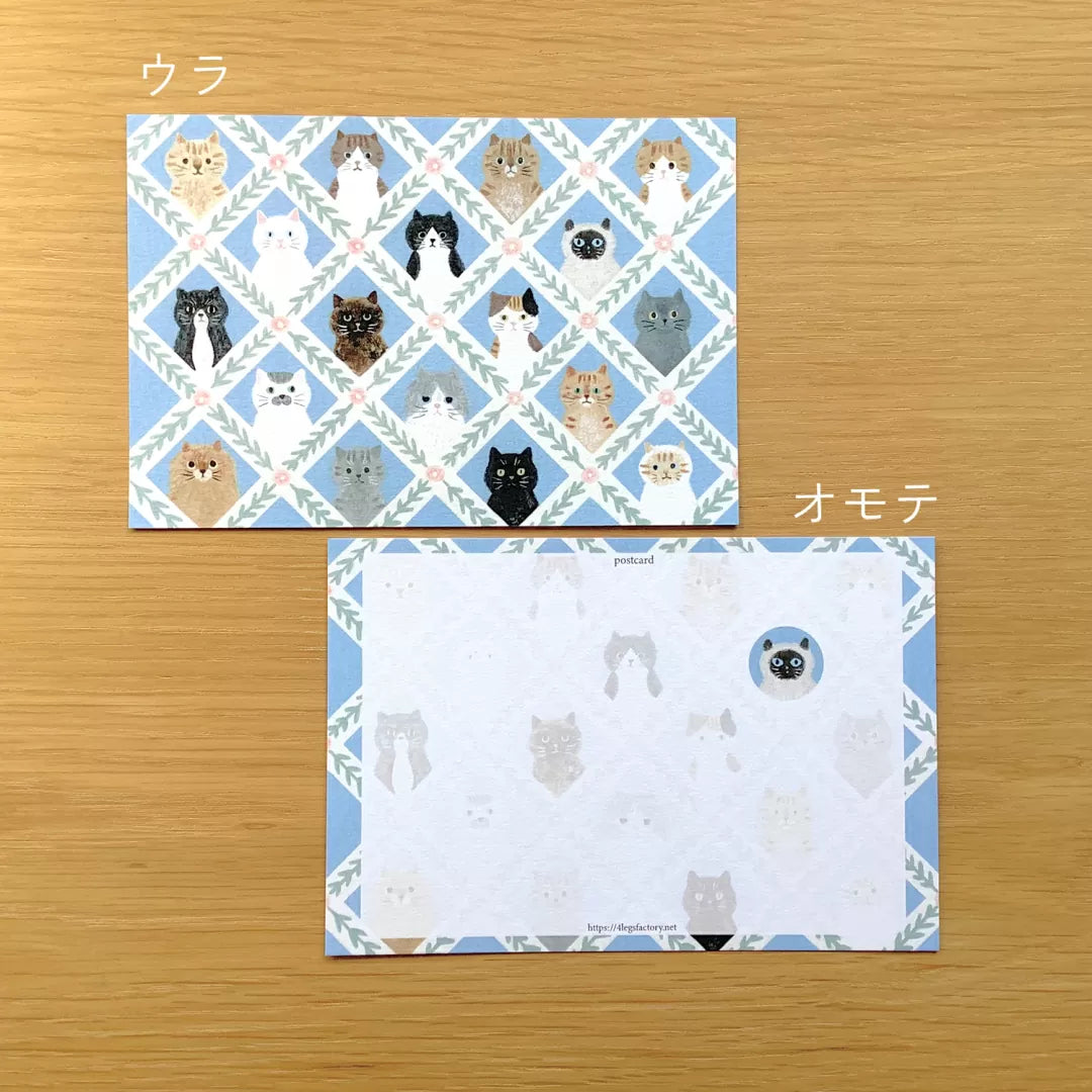4legs Postcard - Cat Face