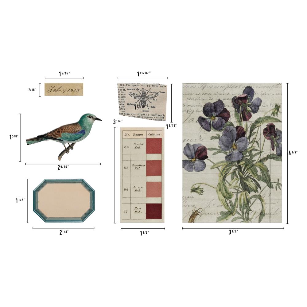 Tim Holtz Idea-Ology Transparent Things 2