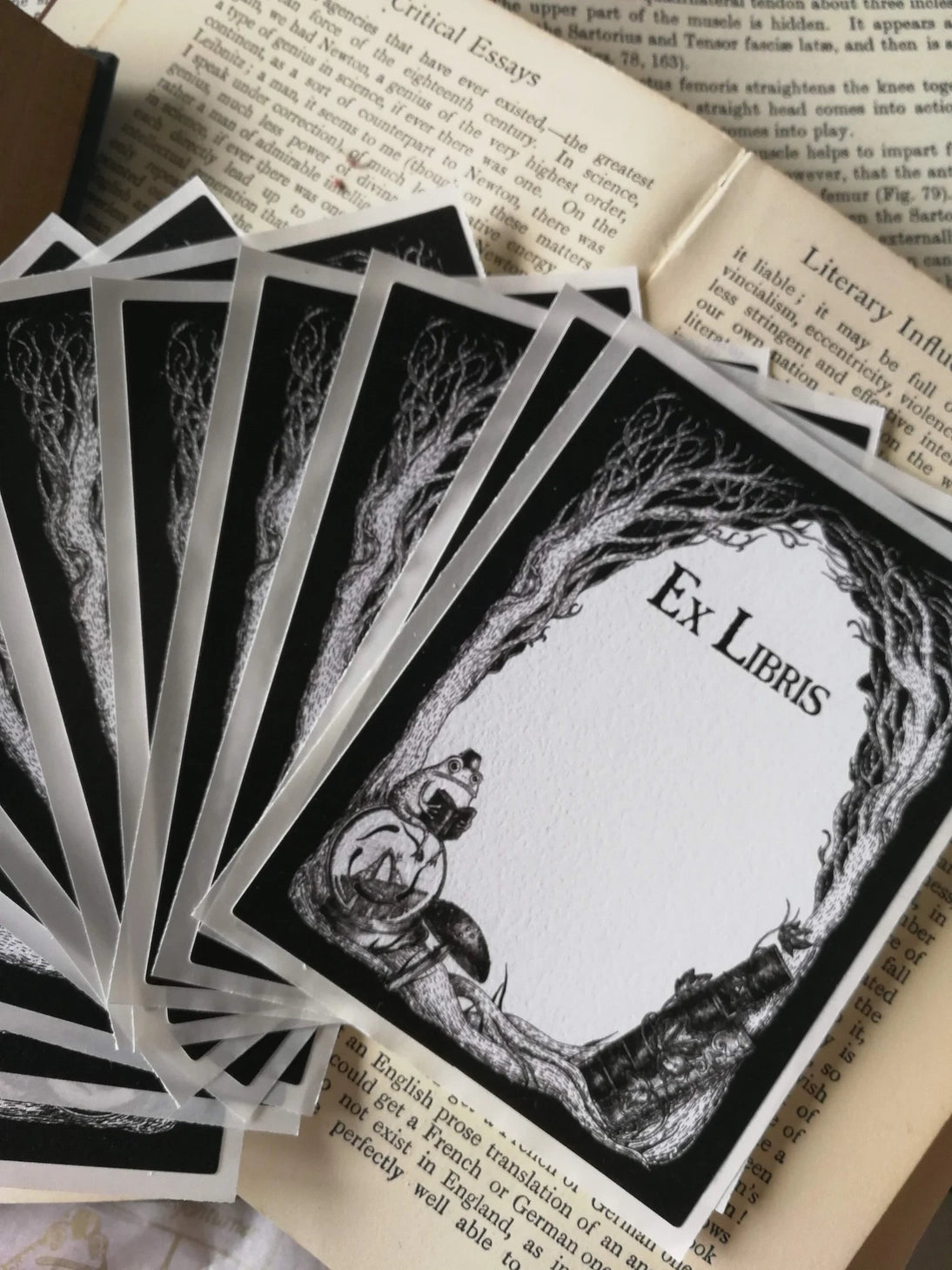Jon Turner Illustration - Studious Marshtoad Bookplates