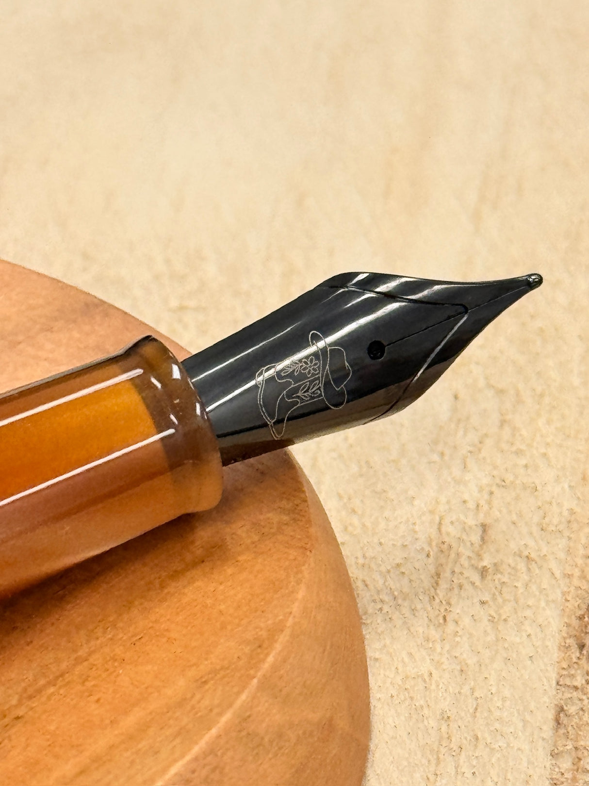 Little Craft Place x Penlux Masterpiece Delgado Fountain Pen - Howdy Houston