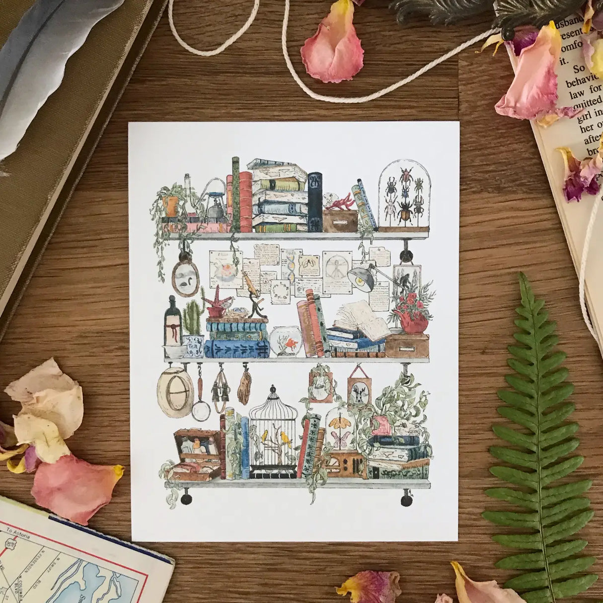 Postcard featuring my original watercolor and ink illustration of the vintage oddities and books tucked away in the shelves of a biologist. A goldfish, canaries, a vintage radio, and pictures of Sasquatch and Nessie are just a few of the details you'll find hidden in this painting!
• Printed on high quality card stock
• Each postcard measures 4.25 x 5.5" (A2)