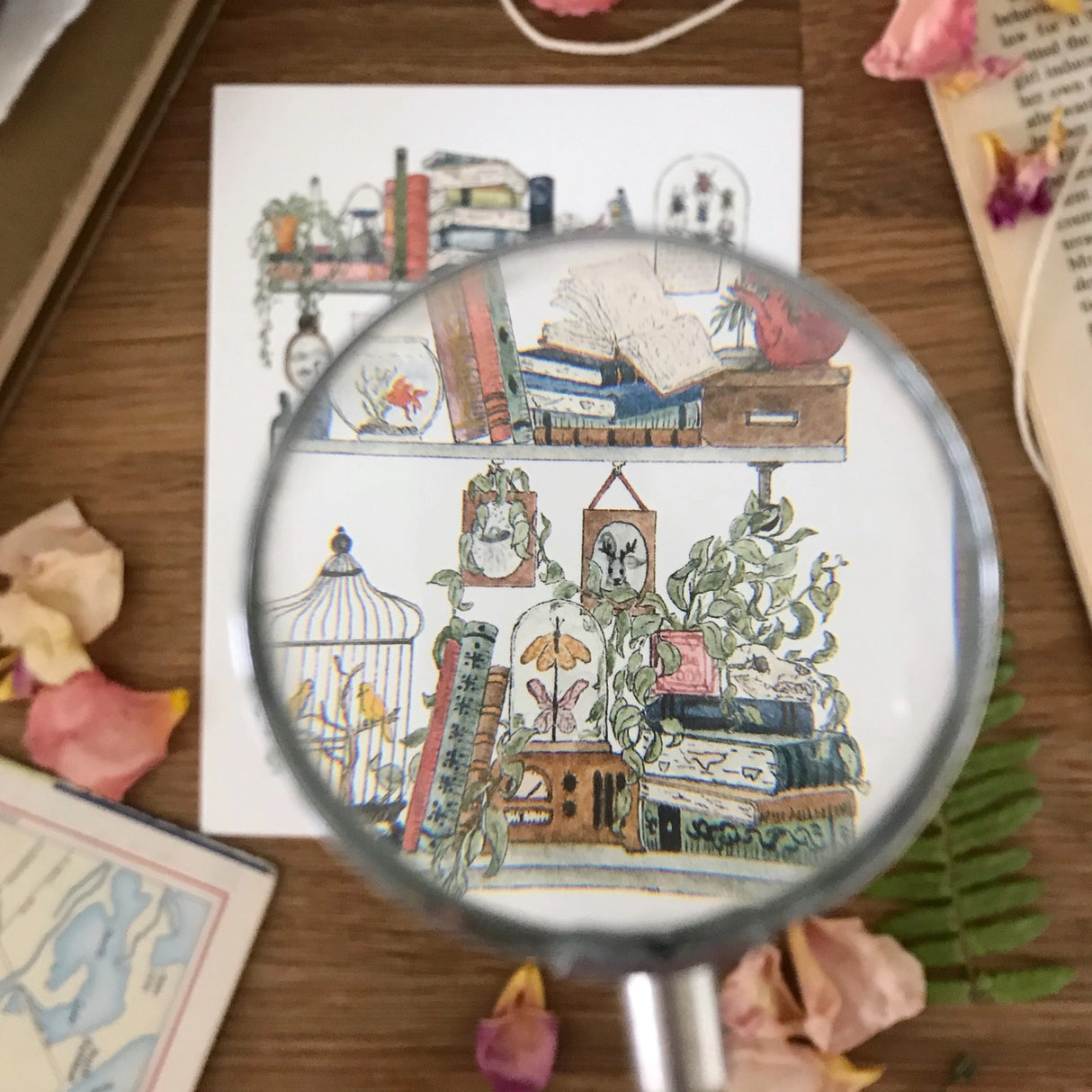 Postcard featuring my original watercolor and ink illustration of the vintage oddities and books tucked away in the shelves of a biologist. A goldfish, canaries, a vintage radio, and pictures of Sasquatch and Nessie are just a few of the details you'll find hidden in this painting!
• Printed on high quality card stock
• Each postcard measures 4.25 x 5.5" (A2)