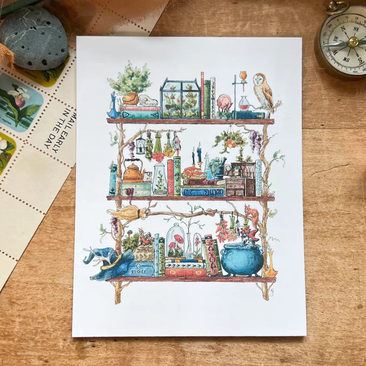 Postcard featuring my original watercolor and ink illustration of the oddities, books, and mushrooms tucked away in the shelves of a forest witch, including a mischievous raccoon, a wise owl, and a box of potions.