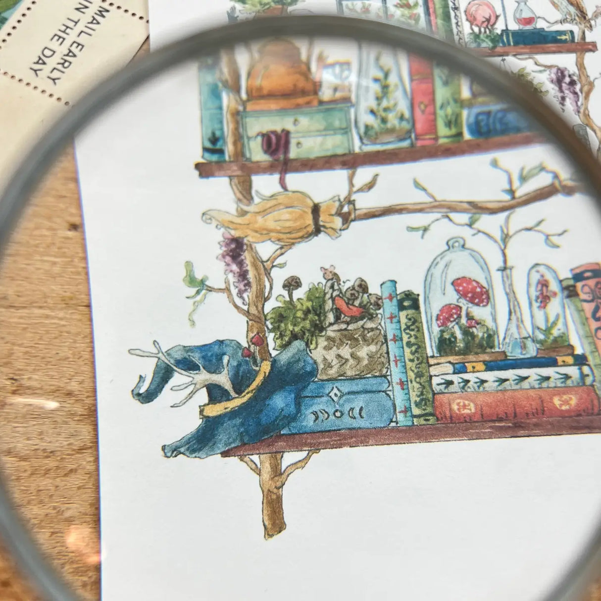 Postcard featuring my original watercolor and ink illustration of the oddities, books, and mushrooms tucked away in the shelves of a forest witch, including a mischievous raccoon, a wise owl, and a box of potions.