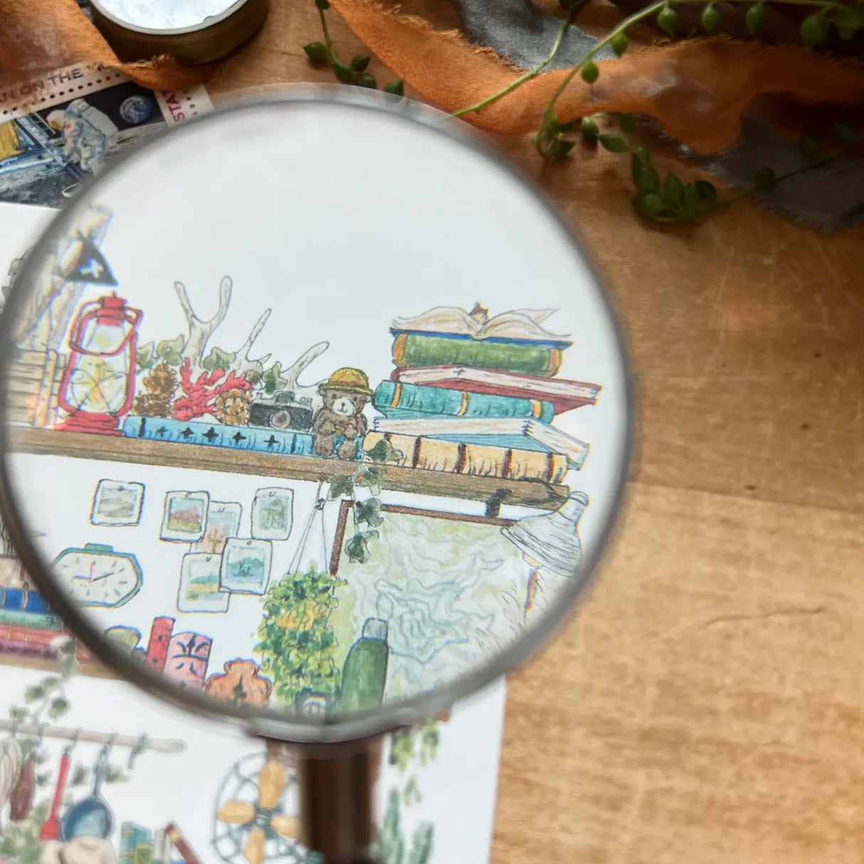 Postcard featuring my original watercolor and ink illustration of the vintage oddities, books, tools, and acorns tucked away in the shelves of a park ranger, including an inquisitive raccoon.