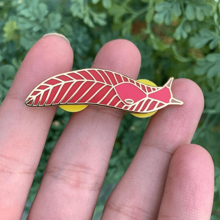 Pin de babosa rosa del monte Kaputar