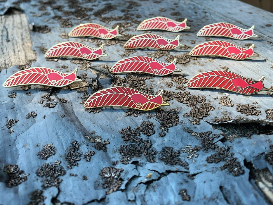 Pin de babosa rosa del monte Kaputar