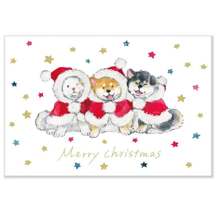 Natsuka Murata - Three Puppies Christmas Postcard
The dogs enjoying Christmas are adorable! This is a watercolor postcard by popular illustrator Natsuka Murata. These are warm postcards brighten up your Christmas atmosphere.
Size: 148×100 mm
Material: Paper / Gold Leaf