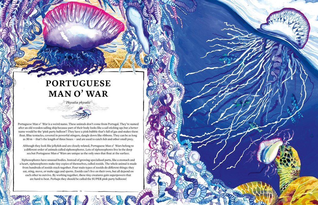 Oceanopedia: An Encyclopedia of Marine Creatures
Discover an incredible world hidden beneath the waves with this beautiful encyclopedia of our oceans and the animals that live in and around them.