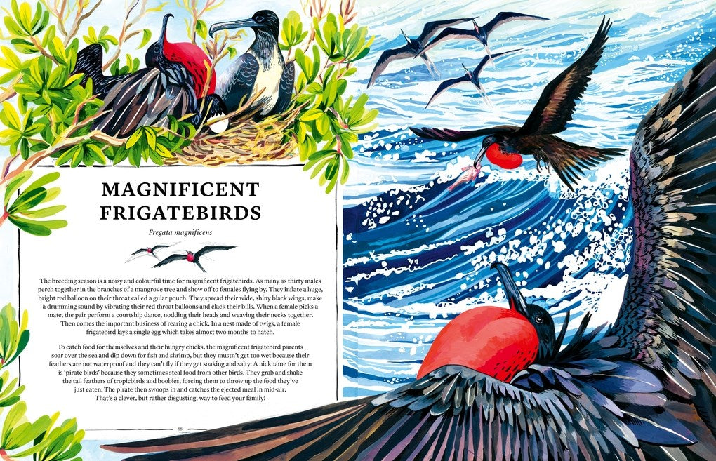 Oceanopedia: An Encyclopedia of Marine Creatures
Discover an incredible world hidden beneath the waves with this beautiful encyclopedia of our oceans and the animals that live in and around them.