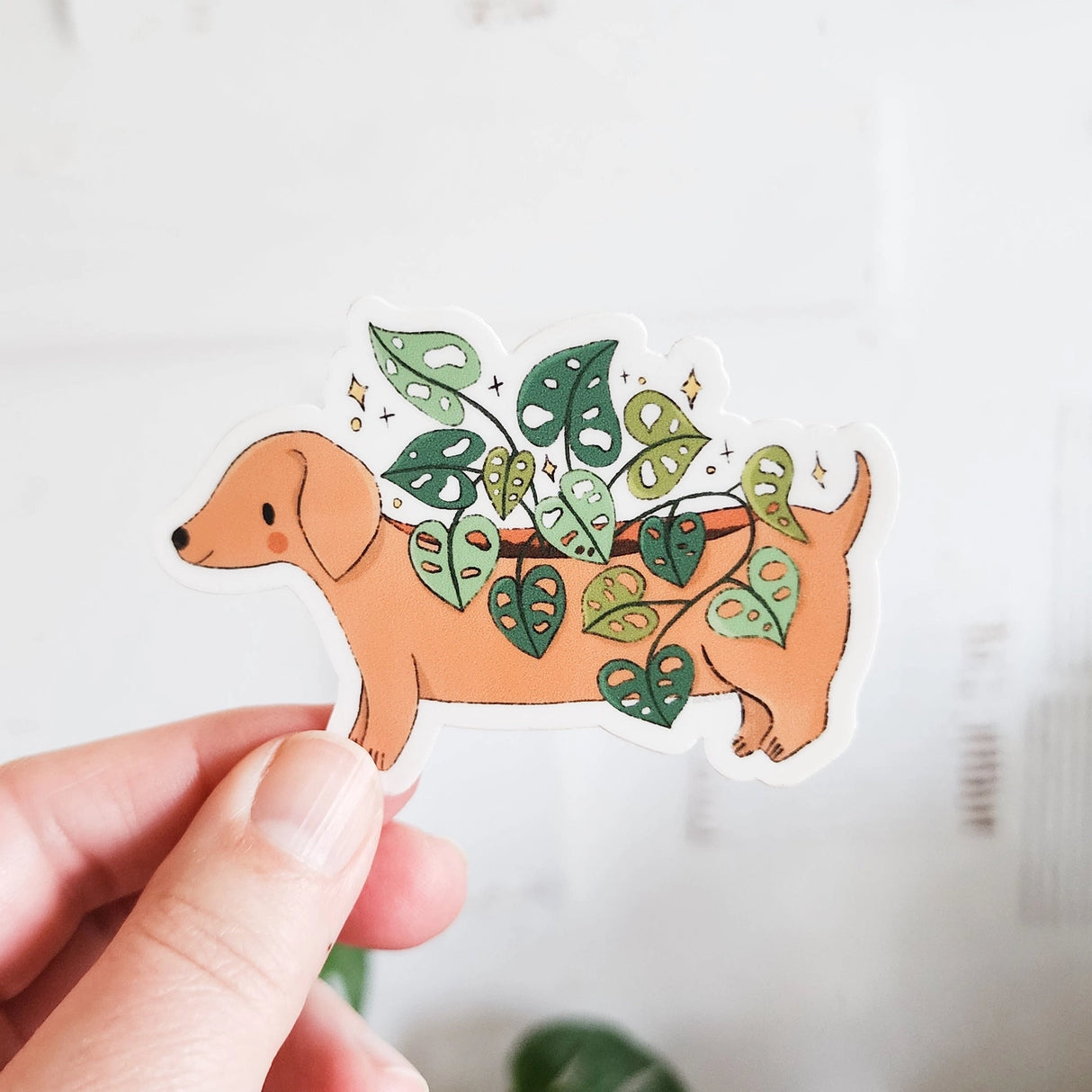A charming dachshund planter rests among leafy greenery, a thriving cheese plant growing from its back like a small piece of playful décor. This vinyl sticker captures that cozy, plant-filled still life, adding a touch of warmth and whimsy to your everyday essentials.
Made from durable, waterproof vinyl, this sticker is designed to hold up wherever you place it—whether that’s a water bottle, laptop, or journal you reach for daily.