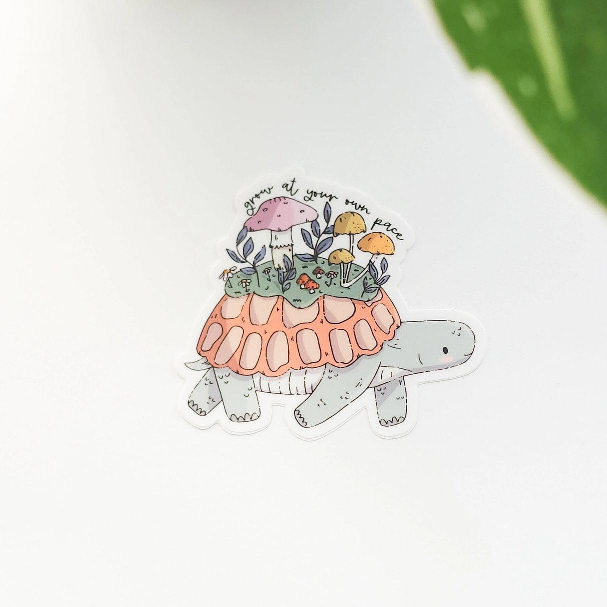 A turtle travels along a mossy path in Wildflower Woods, carrying a tiny mushroom meadow on its back as it moves steadily forward. This vinyl sticker captures that unhurried moment, carrying a gentle reminder that growth happens in its own time.
Made from durable, waterproof vinyl, this sticker is designed to hold up wherever you place it—whether that’s a water bottle, laptop, or journal you reach for daily.