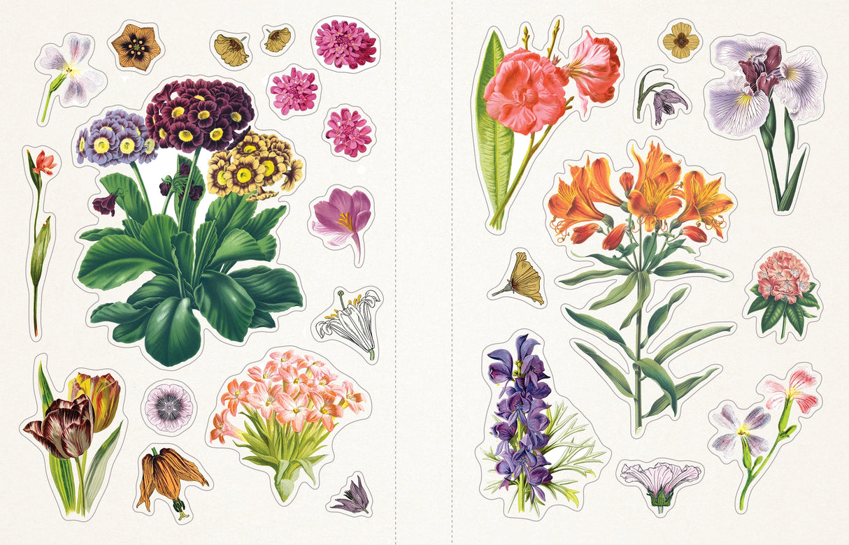 Welcome to Floribunda!
Step into a secret garden where wildflowers bloom, butterflies flutter, and woodland creatures wander through sun-dappled clearings. Invite magic and wonder into your life with Floribunda, a gorgeous selection of stickers featuring vintage flora and fauna illustrations, curated from the best-selling Sticker Emporium collection, Woodlandia.
This stunning sticker book contains more than 500 stickers with beautiful botanical and naturalist illustrations from the Gilded Age through the 1