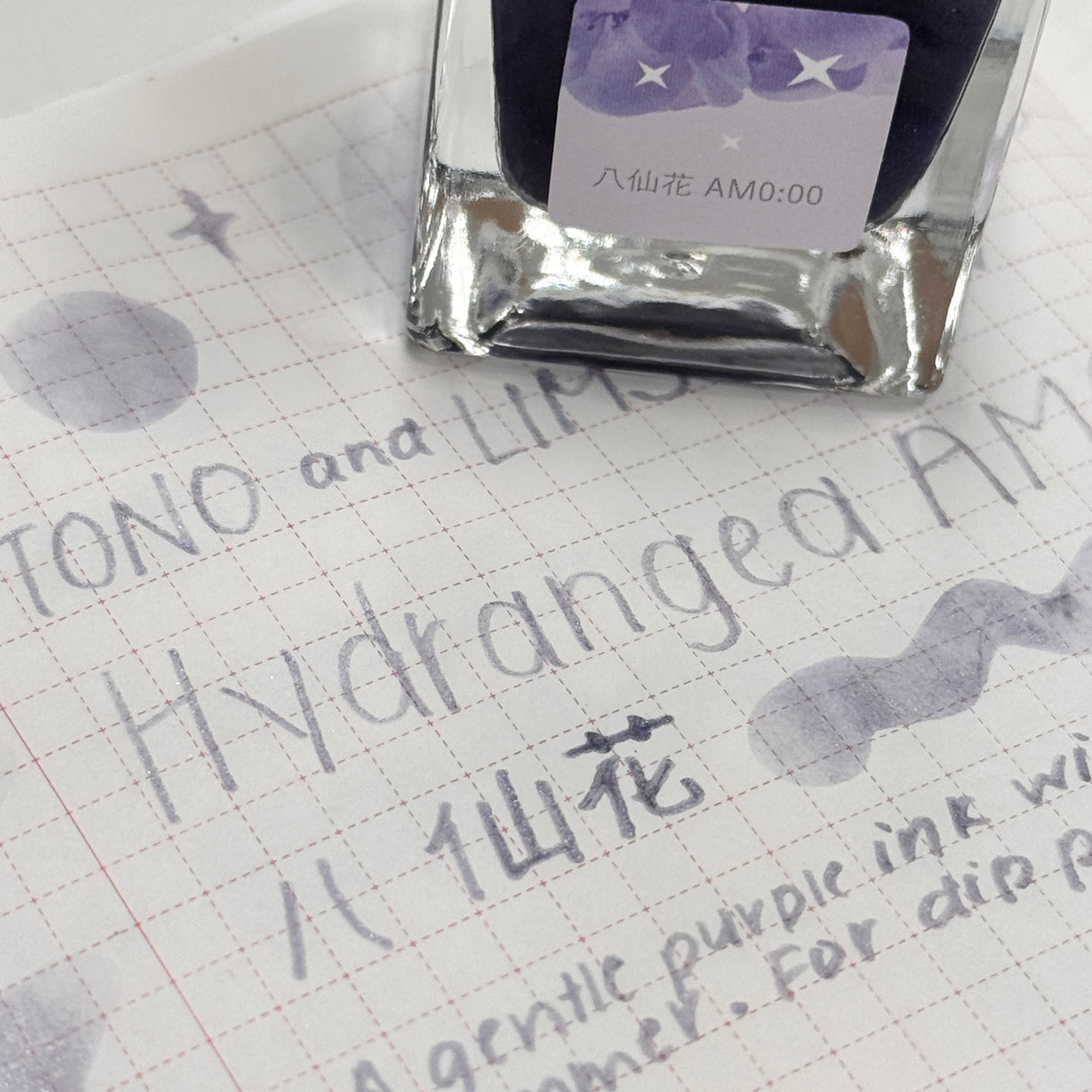 TONO & LIMS Hydrangea - 八仙花 AM0:00 (Hydrangea AM0:00) Ink (Dip Pen Only)