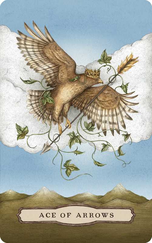 From New York Times bestselling illustrator Jessica Roux comes a tarot deck and guidebook to accompany her beloved Woodland Wardens Oracle. Enter Roux’s enchanted world and deepen your relationship to the Wardens, all within the timeless framework of the Rider-Waite-Smith tarot.
The Tarot of the Woodland Wardens elegantly captures the magic of flora and fauna through the major and minor arcana.
