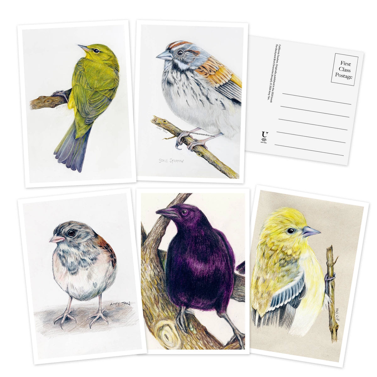 Based on Amy Tan's New York Times best-selling book, The Backyard Bird Chronicles, this collection of 50 postcards features the world renowned author's most beautiful drawings and colorful renderings of the birds that visit her Northern California home.