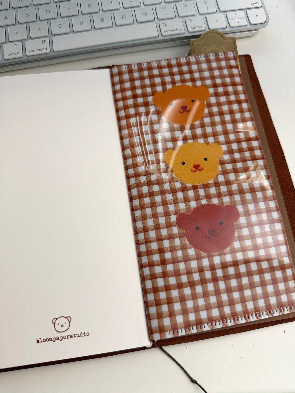 Bloom Paper Studio - Three Litto Bears Folder