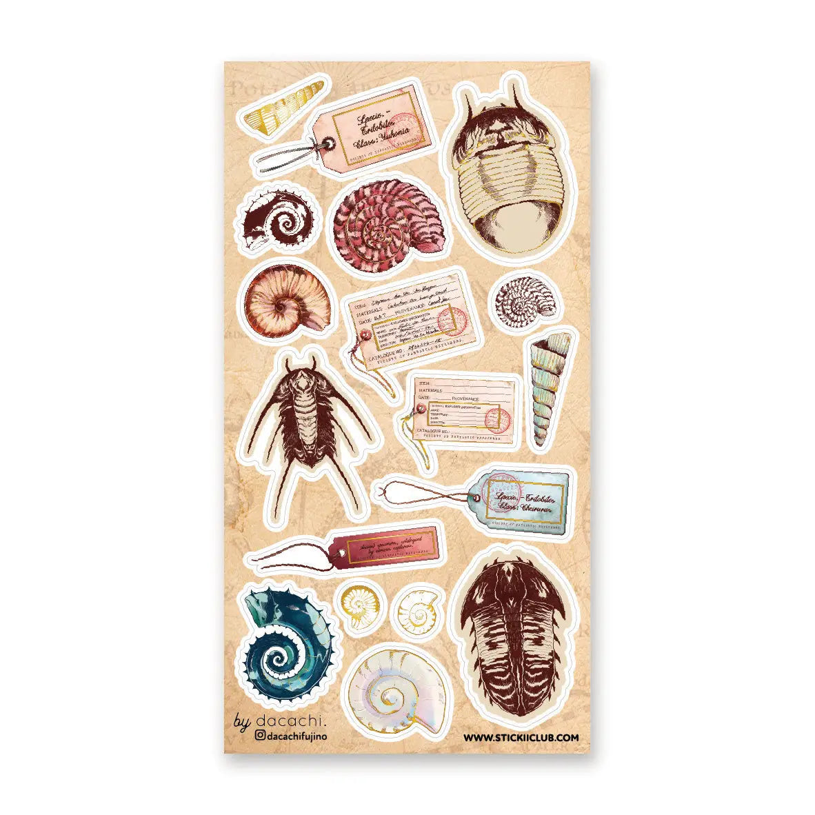 🌀🔍 Catalogued from the depths of some fantastical seaside archive, @dacachifujino’s curious specimens are like discoveries from a mysterious ocean museum. From spiraled shells and ancient trilobites to handwritten tags and explorer notes, this sheet was made for anyone who loves their natural history with a dash of wonder.
Art by: @dacachifujino