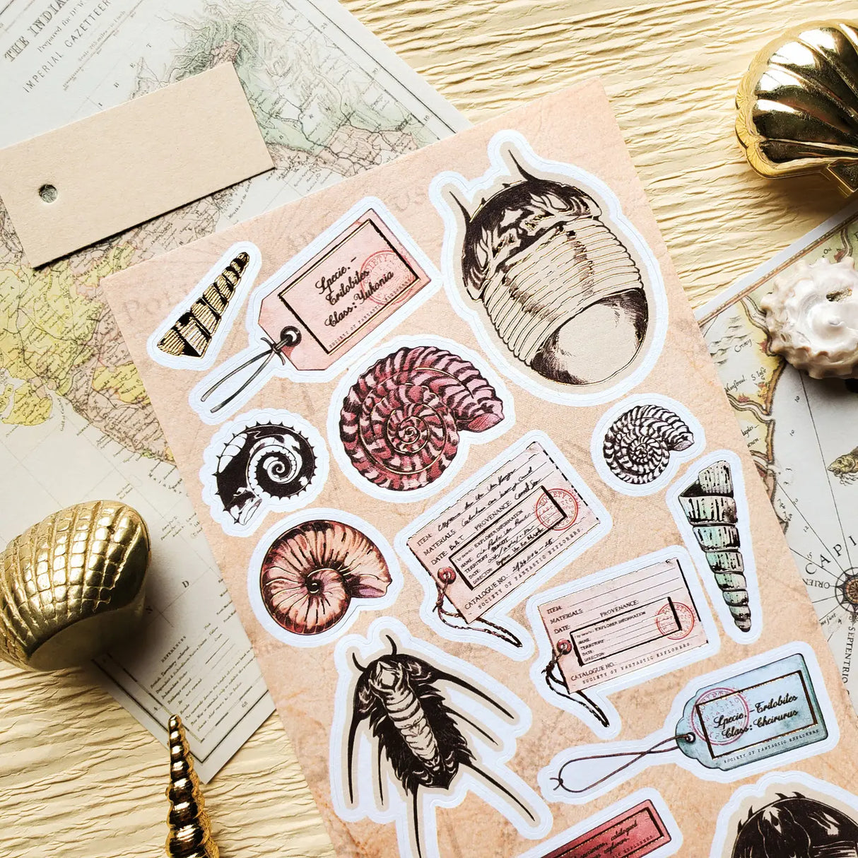 🌀🔍 Catalogued from the depths of some fantastical seaside archive, @dacachifujino’s curious specimens are like discoveries from a mysterious ocean museum. From spiraled shells and ancient trilobites to handwritten tags and explorer notes, this sheet was made for anyone who loves their natural history with a dash of wonder.
Art by: @dacachifujino